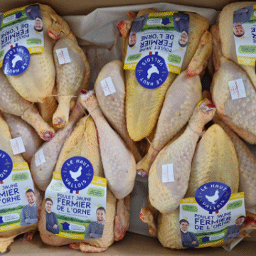 Poulet jaune Fermier de l'Orne