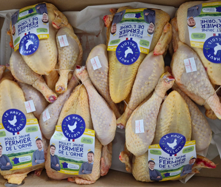 Poulet jaune Fermier de l'Orne